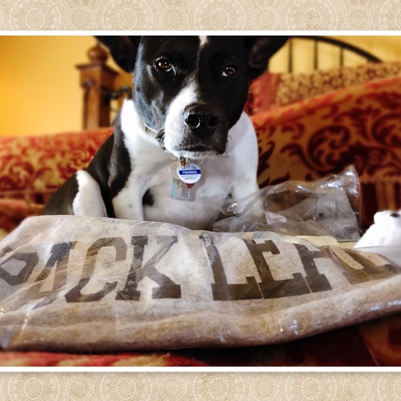 💍2/$10, 3/$13 Pack Leader T - Picture 3 of 5